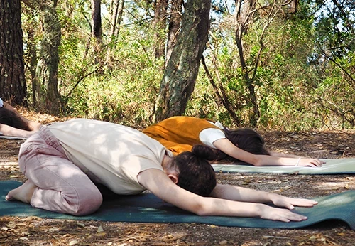 Imagem aula de grupo de Yoga