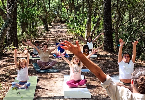 Imagem serviço educativo - escolas
