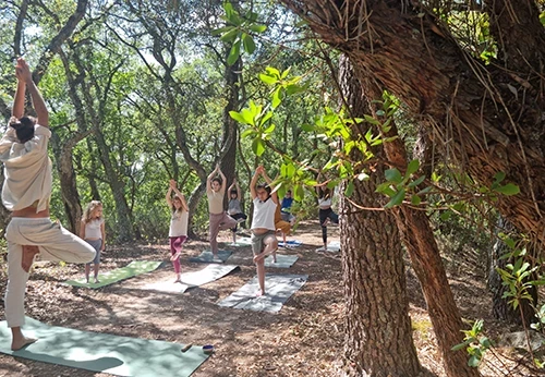 Imagem serviço educativo - escolas