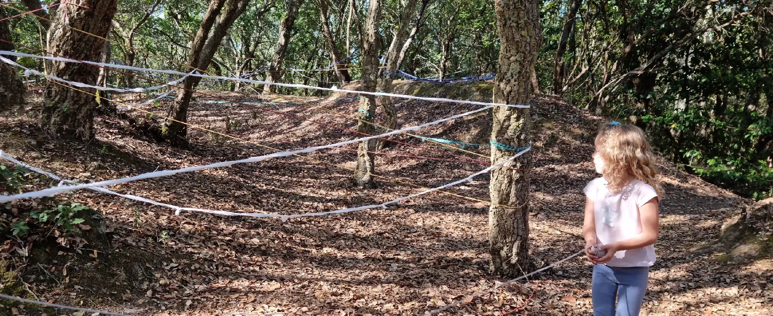 Fotografia de cabeçalho - Serviço Educativo