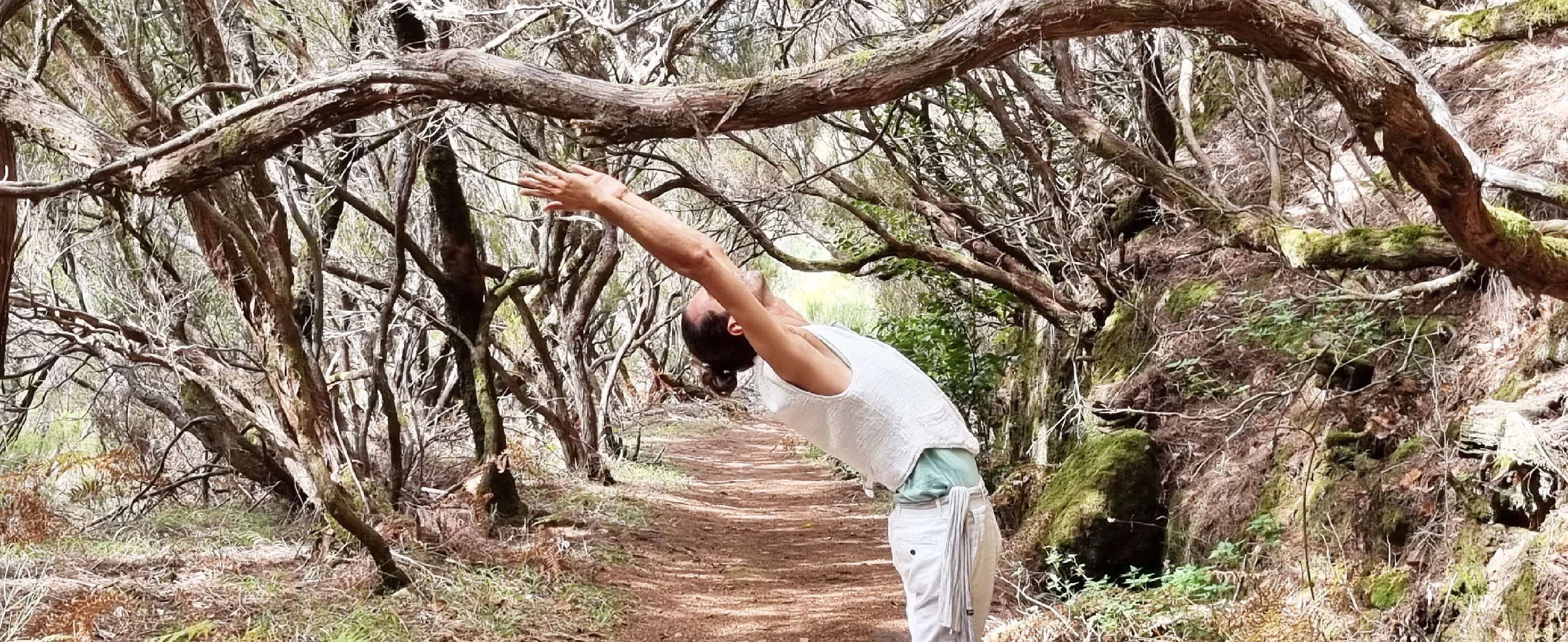 Fotografia de cabeçalho - Aulas de Prana Yoga