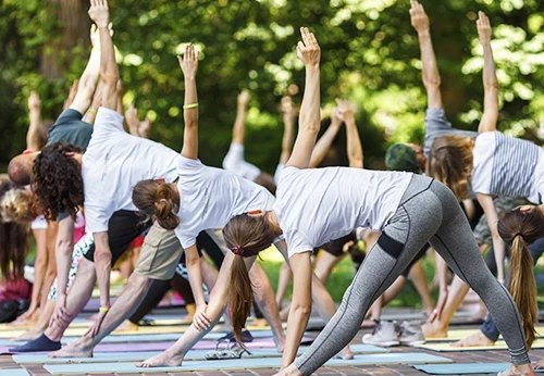 Imagem formação empresas e instituições
