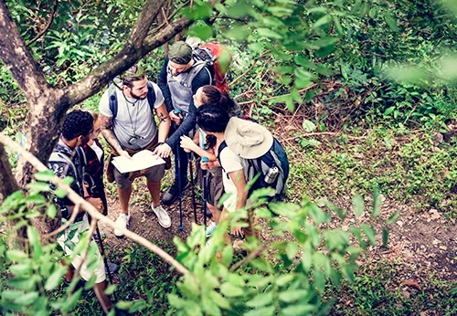 Imagem formação empresas e instituições