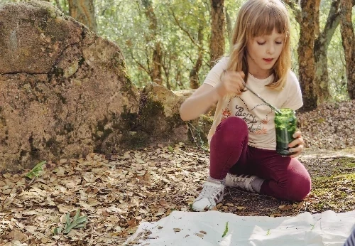 Imagem serviço educativo - escolas