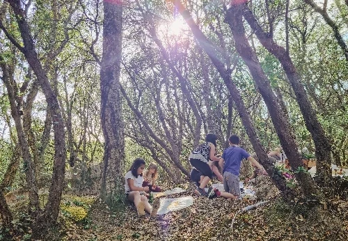 Imagem serviço educativo - escolas