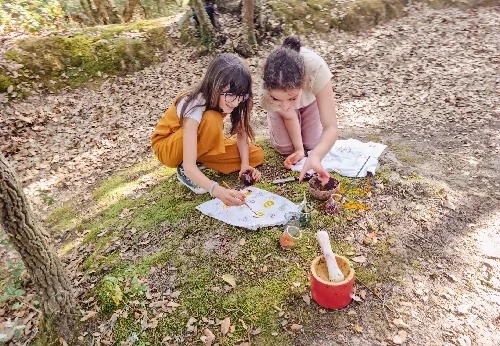 Imagem serviço educativo - escolass