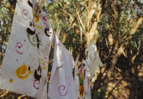 Imagem serviço educativo - escolas