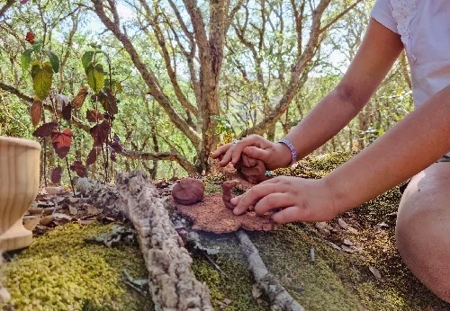 Imagem serviço educativo - escolas