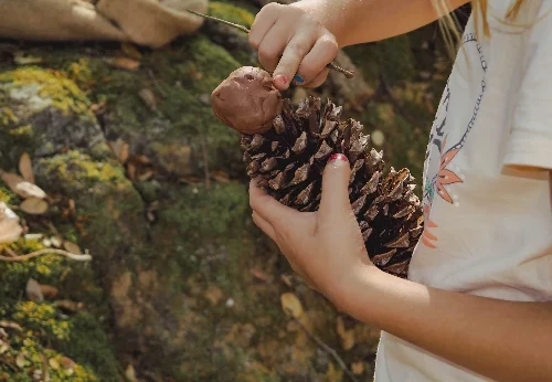 Imagem serviço educativo - escolas