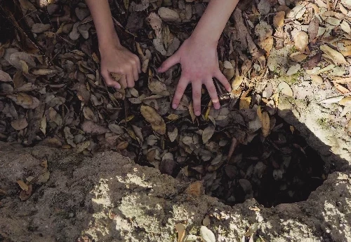 Imagem serviço educativo - escolas