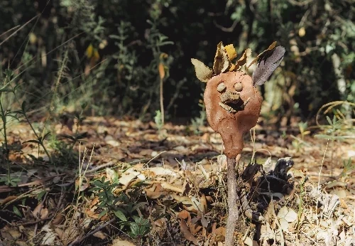 Imagem serviço educativo - escolas