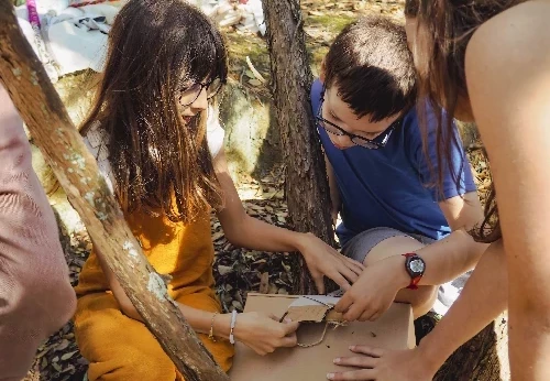 Imagem serviço educativo - escolas