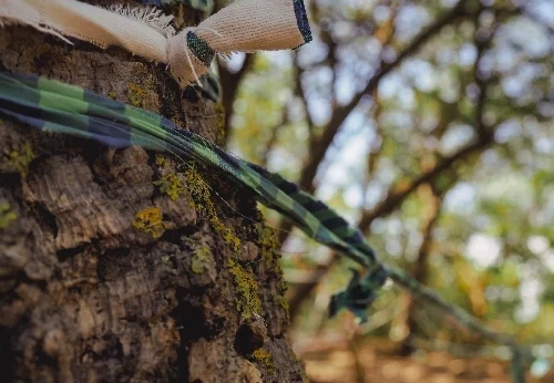 Imagem serviço educativo - escolas