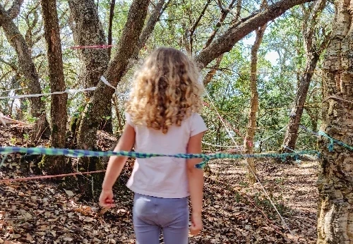 Imagem serviço educativo - escolas