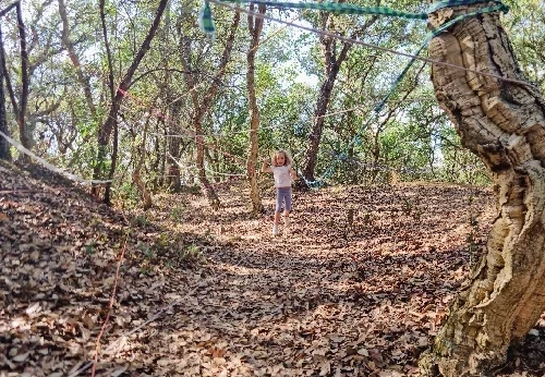 Imagem serviço educativo - escolas