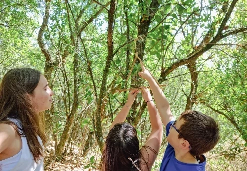 Imagem serviço educativo - escolas