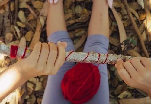 Imagem serviço educativo - escolas