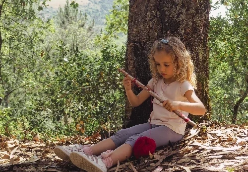 Imagem serviço educativo - escolas