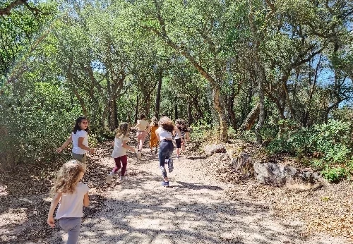 Imagem serviço educativo - escolas