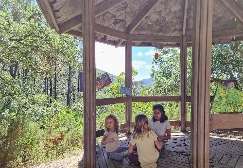 Imagem serviço educativo - escolas