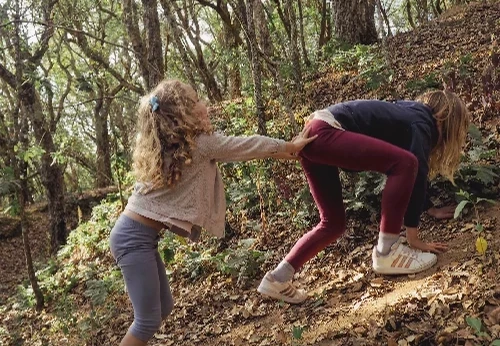 Imagem serviço educativo - escolas