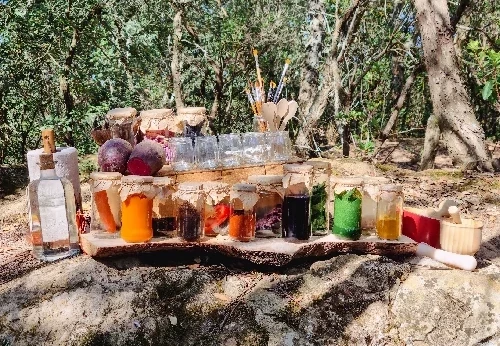 Imagem serviço educativo - escolas