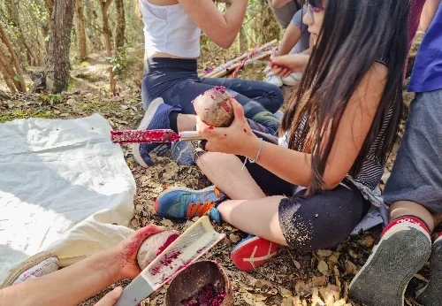 Imagem serviço educativo - escolas