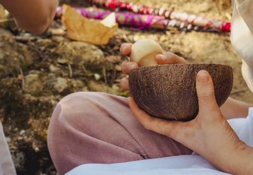 Imagem serviço educativo - escolas
